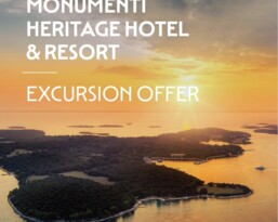 Excursion offer